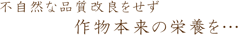 不自然な品質改良をせず作物本来の栄養を…